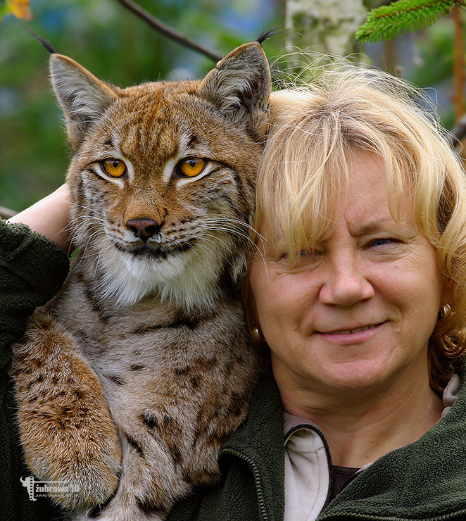 Hayvanlar Alemi Belgesel